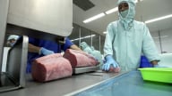 Thuế đối ứng 19% cho Indonesia và Philippines: Cá ngừ Việt Nam liệu có mất thị phần tại Mỹ?
