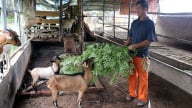 Được Hội Nông dân tiếp sức, anh nông dân Tuyên Quang từ tay trắng thành triệu phú