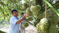 Ngành nông nghiệp Đắk Lắk vào ‘guồng’ sau hợp nhất, sáp nhập, ngoài cà phê, trái cây, thế mạnh còn là thủy sản