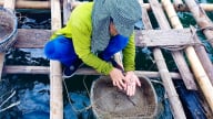 Người nuôi biển lo mức tiền thuê mặt biển quá cao, tỉnh Quảng Ninh đang xem xét điều chỉnh giảm