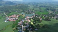Dịch tả lợn châu Phi, nhìn từ điểm nóng: Có 21 xã 'trắng' cán bộ thú y sau sáp nhập, Tuyên Quang kiến nghị khẩn (Bài 3)
