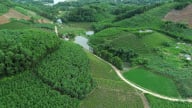 Một phường ở Tuyên Quang phấn đấu thu nhập bình quân đầu người đạt 96 triệu đồng/người/năm