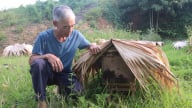 Nông thôn Tây Bắc: Lão nông ở Tân Trào gắn bó với nghề nuôi ong rừng lấy mật 
