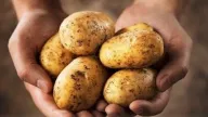 Ăn khoai tây có làm tăng nguy cơ tiểu đường?