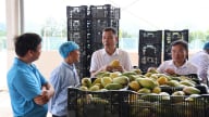 Sơn La hướng tới trung tâm phát triển nông nghiệp công nghệ cao của vùng 