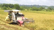 Sau sáp nhập tỉnh,thực hiện chính quyền địa phương 2 cấp, địa giới hành chính xã này ở tỉnh Đồng Nai không thay đổi