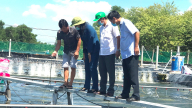 Dạy nghề cho lao động nông thôn ở TP.HCM: Bám sát nhu cầu thực tế của địa phương