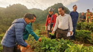 Cán bộ Hội Nông dân một xã ở Lào Cai cầm tay chỉ việc cho bà con từ cách làm nương đến hái búp chè