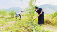 Bảo Thắng lan tỏa phong trào bảo vệ môi trường