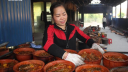 Cá kho làng Vũ Đại giá hàng triệu đồng một niêu vẫn chốt nghìn đơn/ngày