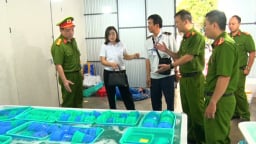 Cơ quan chức năng Khánh Hòa thu giữ hàng ngàn con tôm hùm giống ở Cam Ranh không rõ nguồn gốc, xuất xứ