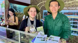 Khách thích thú chui địa đạo dài 250km ngay trung tâm TP.HCM