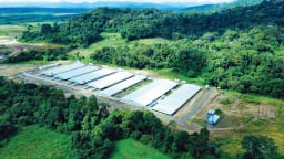 Mavin được vinh danh Top 10 doanh nghiệp ESG Việt Nam xanh 2025