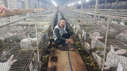 Trên nuôi thỏ, dưới nuôi trùn quế, bên ngoài nuôi thêm sâu canxi, anh nông dân Hải Phòng biến rác thành tiền tỷ