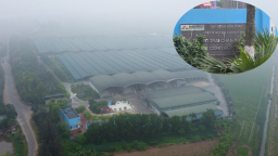 Một dự án chăn nuôi bò ở Thái Bình bị kết luận hàng loạt vi phạm, không tuân thủ chủ trương đầu tư