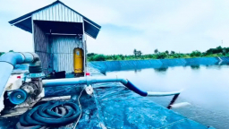 Hiểm họa khôn lường từ sử dụng clo lỏng trong xử lý nước nuôi trồng thủy sản