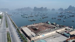 Cẩm Phả (Quảng Ninh) dừng hoạt động chợ cá Bến Do