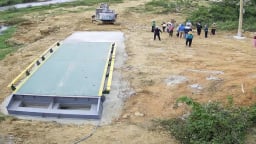 Doanh nghiệp trúng đấu giá mỏ cát ở Bình Định nhưng 3 năm 'không lấy nổi hạt cát'
