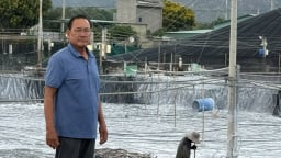 Nuôi cá tôm giỏi , làm muối tốt, một nông dân Bà Rịa-Vũng Tàu giúp hộ nghèo cùng vươn lên