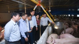Đề tài quản lý chất thải chăn nuôi lợn của Nông dân xuất sắc Bắc Giang có gì đặc biệt mà được 3 giải Nhất?