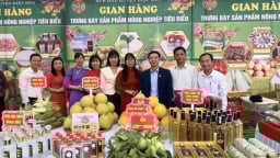 Bắc Giang: Mô hình sản xuất nông nghiệp liên kết theo chuỗi giá trị giúp nâng cao chất lượng sản phẩm