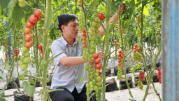 Hợp nhất Đắk Nông, Lâm Đồng, Bình Thuận, 'siêu tỉnh' sau sáp nhập là 'thủ phủ' nông nghiệp công nghệ cao