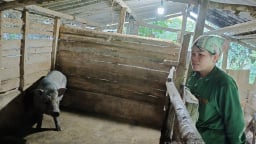 Sáp nhập Bắc Kạn - Thái Nguyên, tỉnh mới Thái Nguyên ưu tiên thực hiện các dự án mang lại lợi ích trực tiếp cho người dân