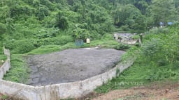 Sự cần thiết của Luật Bảo vệ môi trường trong các hoạt động kinh doanh