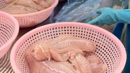 Lần đầu tiên, Lào bán được loài cá Việt Nam nuôi rất nhiều sang Trung Quốc