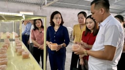 Hội Nông dân Nam Định tăng cường giám sát, phản biện từ cơ sở, bảo vệ quyền lợi của nông dân
