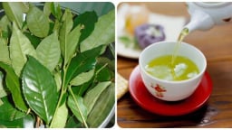 Thứ nước cực tốt cho sức khỏe, nắng nóng càng uống nhiều song cần lưu ý 4 cấm kị này