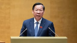 Sữa giả, giá đỗ ngâm hoá chất được đưa vào báo cáo gửi Quốc hội