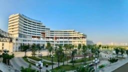 Bộ Tài chính lên kế hoạch hợp nhất 6 đơn vị sự nghiệp