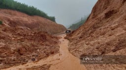 Thần tốc, chính xác, sát thực tế, Bình Định không còn 'những mùa bão bất ngờ'