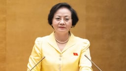 Liên thông cán bộ, công chức cấp xã với cấp tỉnh, thống nhất một chế độ công vụ từ Trung ương đến địa phương