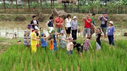 Hà Nội đề xuất sử dụng một phần đất nông nghiệp làm du lịch và giáo dục trải nghiệm