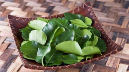 Loại lá quen thuộc ở quê không chỉ làm gia vị mà còn có tác dụng giúp trẻ lâu, ngừa ung thư
