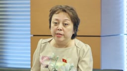 Từ vụ 'lòng xe điếu', đại biểu Quốc hội nói cần tăng cường thanh tra đột xuất