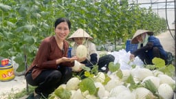 Hội Nông dân Bắc Giang tư vấn để nông dân, HTX, doanh nghiệp làm đúng 5 yếu tố, 3 nguyên tắc cho sản phẩm OCOP