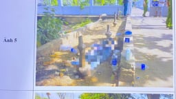 Người đàn ông tử vong trong tư thế nằm ngửa tại trạm kiểm soát triều Bình Triệu