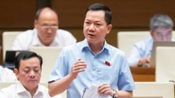 Đại biểu Quốc hội: 'Một hoa hậu, một diễn viên không biết gì về sản phẩm nhưng vẫn quảng cáo'