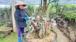 Giảm nghèo ở Hà Nam: 'Cú hích' từ chính sách tín dụng ưu đãi