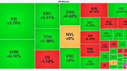 Cổ phiếu của 'ông trùm' thép Hoà Phát tác động tiêu cực nhưng VN-Index vẫn vững đà tăng
