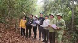 Điện Biên: Chi trả dịch vụ môi trường rừng - 'lá chắn xanh' vững chắc, 'điểm tựa' kinh tế cho người dân
