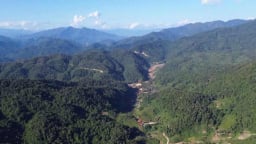 Rừng thêm xanh, tiền về bản mọi người yên vui
