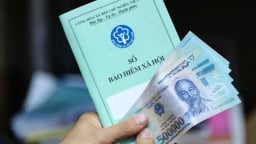 Người lao động cần làm gì để bảo vệ quyền lợi khi doanh nghiệp nợ đóng bảo hiểm xã hội?