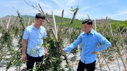 Quỹ Hỗ trợ nông dân góp phần đưa Ba Chẽ tiến gần mục tiêu trở thành “Trung tâm dược liệu Quảng Ninh”