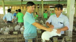 Đây là thành phố có quy mô Quỹ Hỗ trợ nông dân cao thứ 2 ở Việt Nam, đang cho giải ngân 200 triệu đồng/hộ