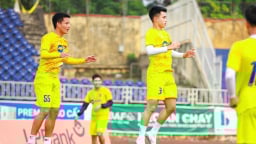 SLNA rơi vào “cơn bĩ cực'
