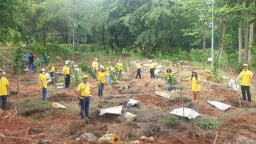 Kiều bào đóng góp kinh phí tham gia “Tết trồng cây đời đời nhớ ơn Bác Hồ”